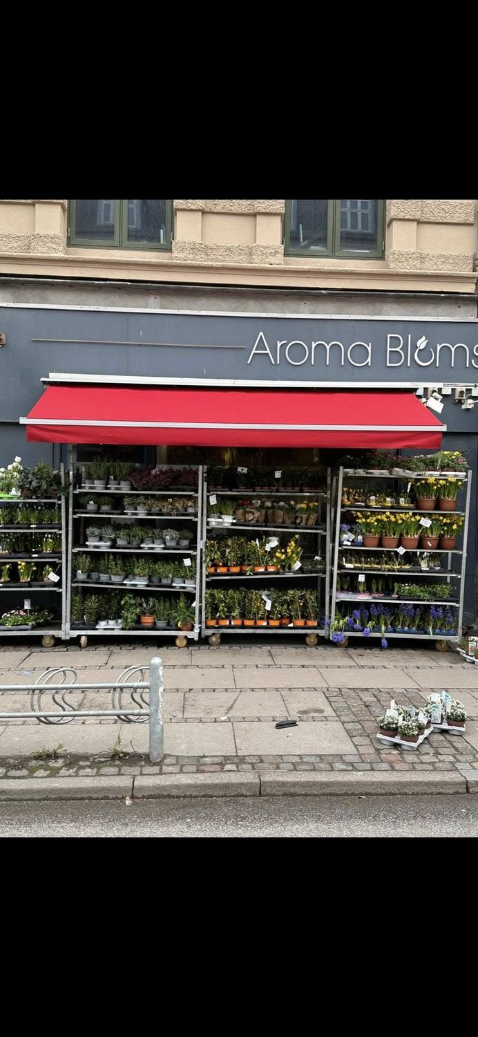 Aroma Blomster